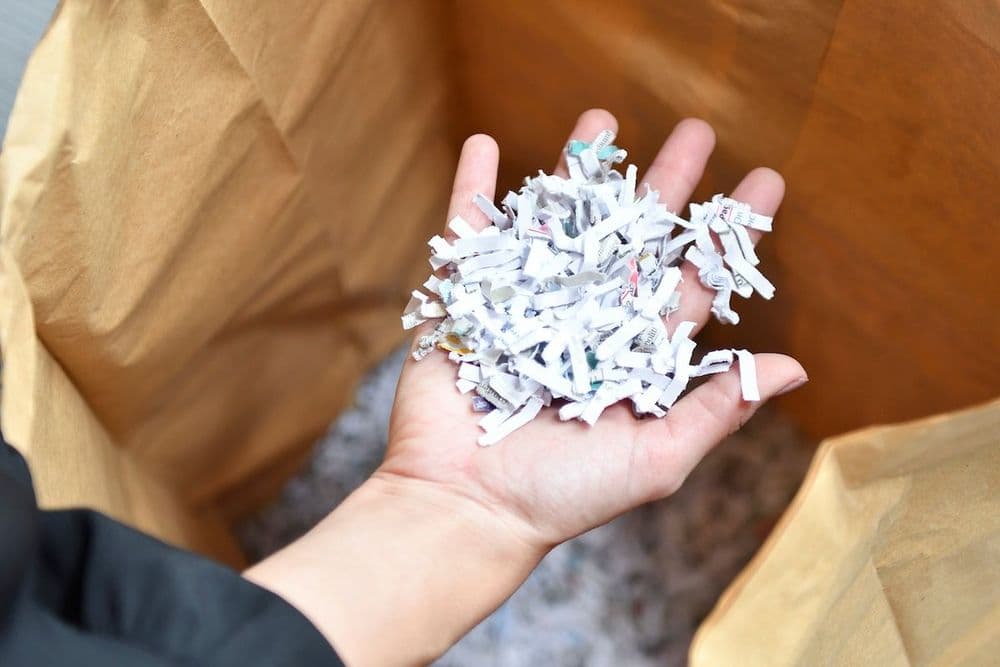 Destruction d'archives