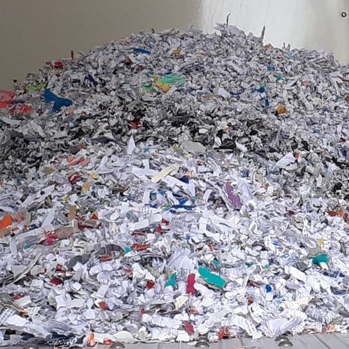 EXIGO in situ - Broyage d'archives sur site